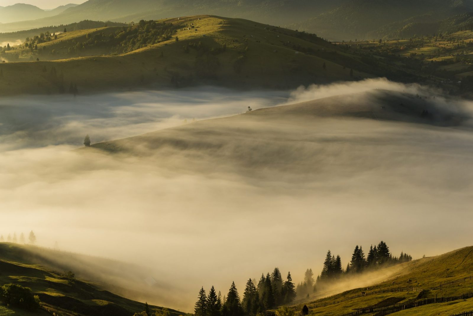 Romania