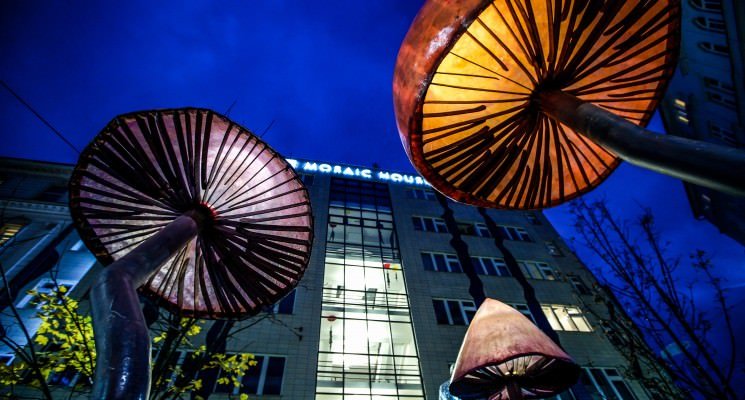 best hostels in prague