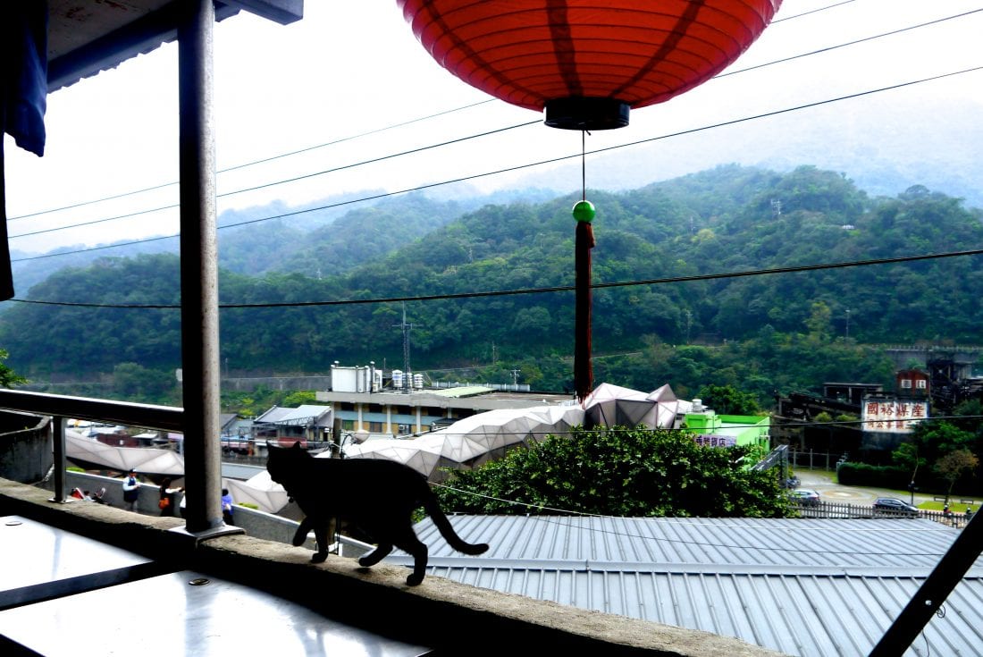 Houtong Cat Village