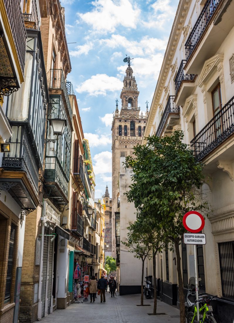 A view of the Catedral de Sevilla from a street in Sevilla. 