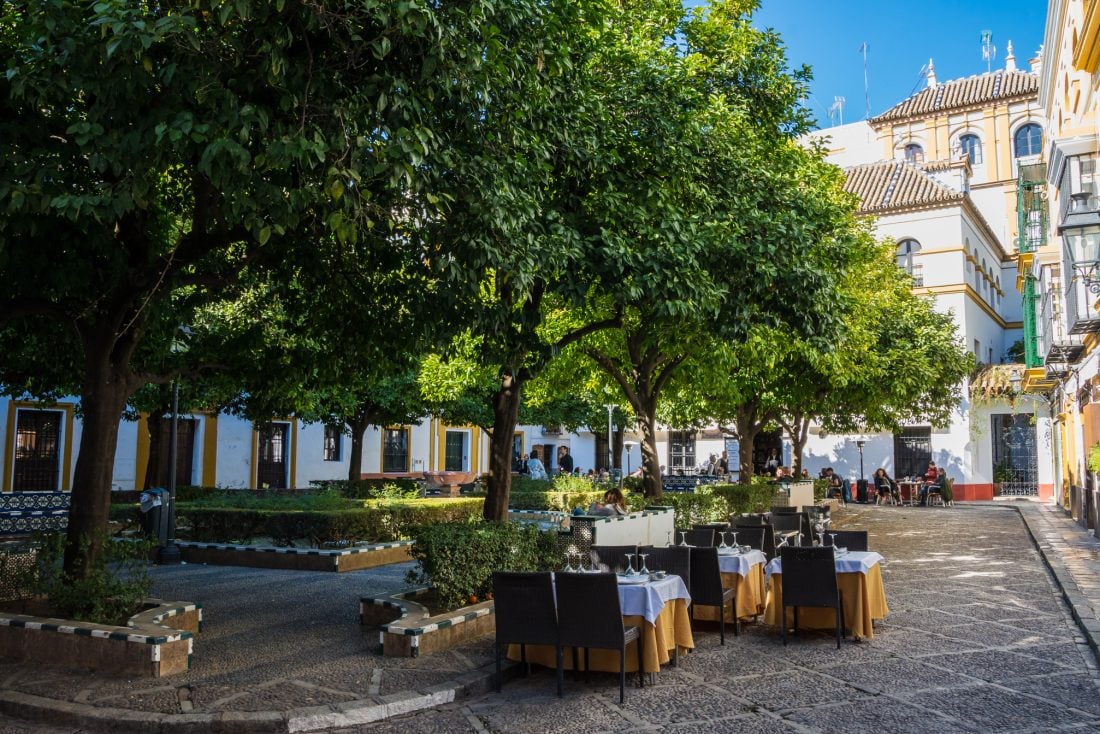 Tables and chairs set up for outdoor dining under some trees in a courtyard in Barrio de Santa Cruz, Sevilla. 