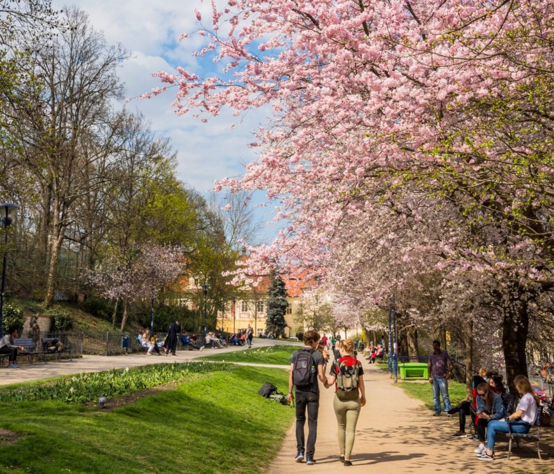 when to visit prague and the czech republic - spring in prague