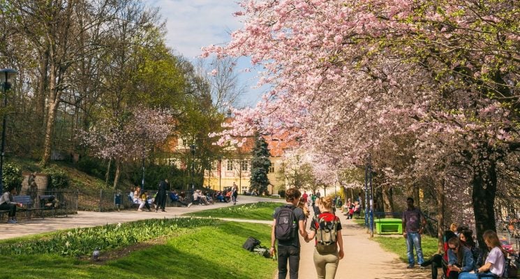 how to spend a weekend in prague - petrin park in spring