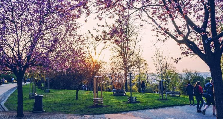 riegrovy sady prague