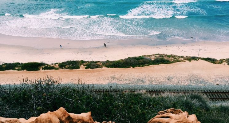 a view of the ocean from the cliffs of Torrey Pines, California