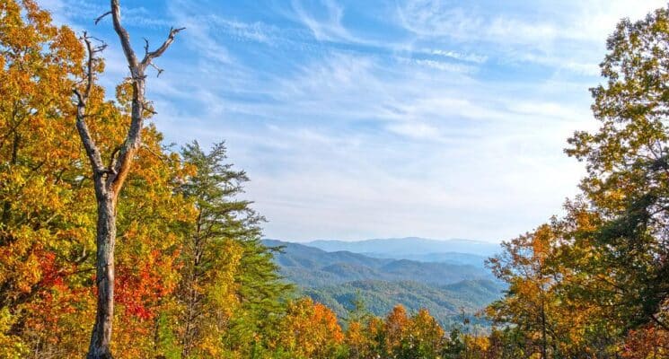 autumn foliage in the Smokey mountains things to do pigeon forge