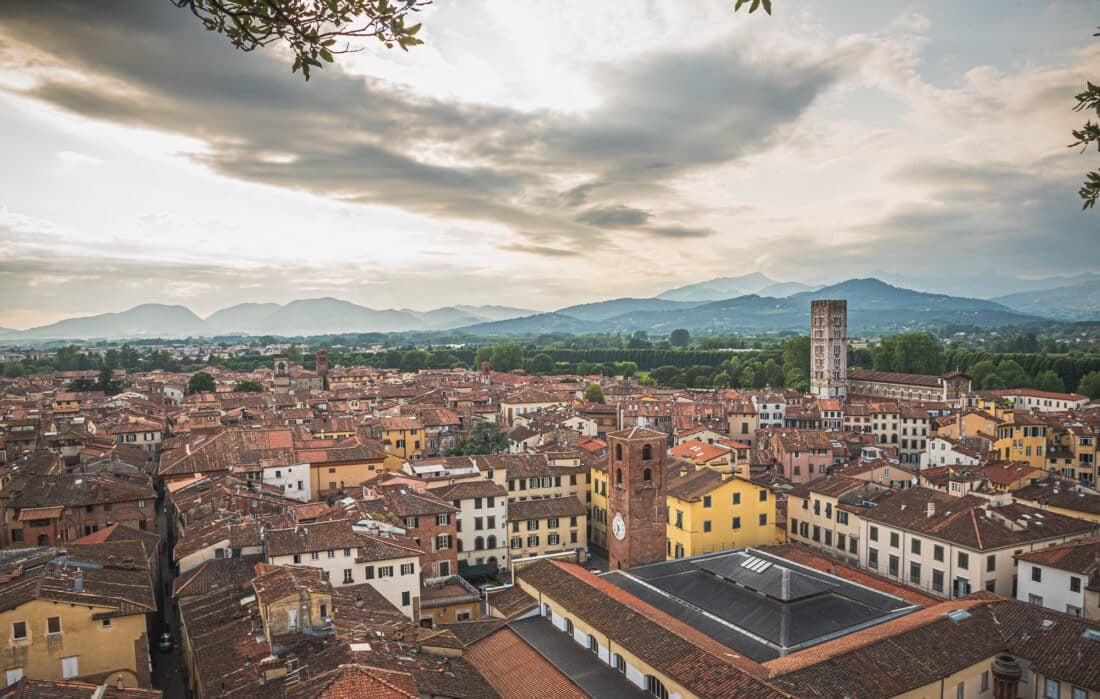 view from guinigi tower lucca italy