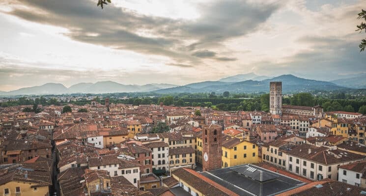 view from guinigi tower lucca italy